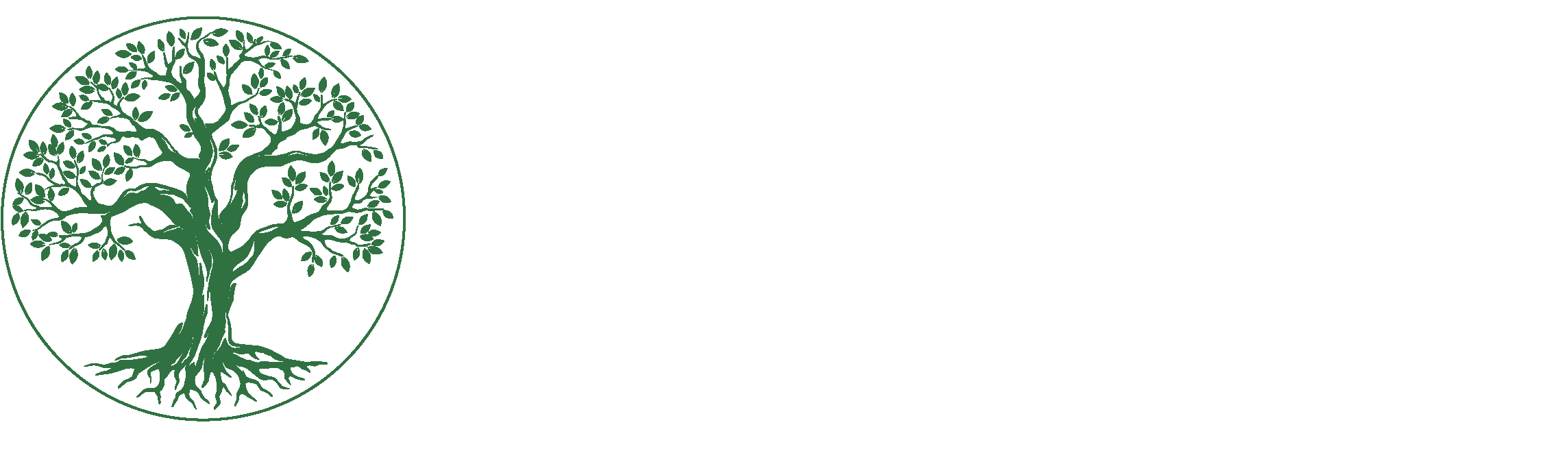 A logo with a tree and the words "FOREST MEADOWS" in white.